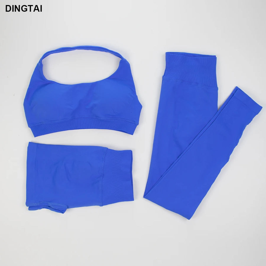 Seamless Ribbed Nylon-Spandex Women's Gym Set 2-Piece Sports Bra and Leggings