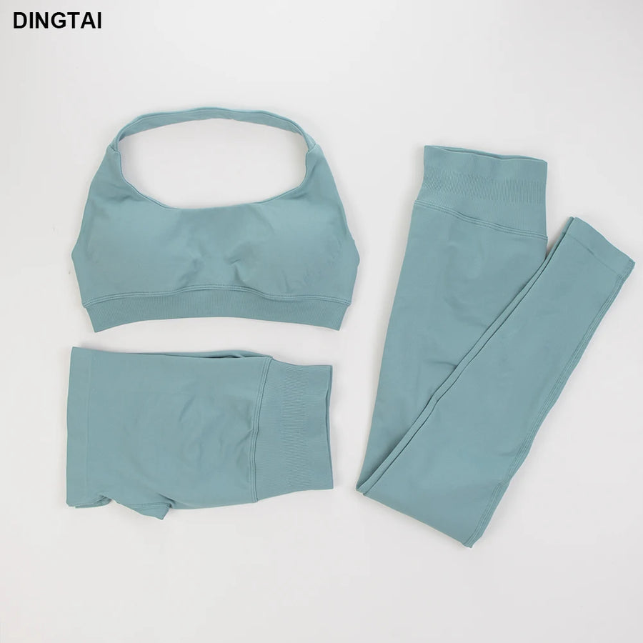 Seamless Ribbed Nylon-Spandex Women's Gym Set 2-Piece Sports Bra and Leggings