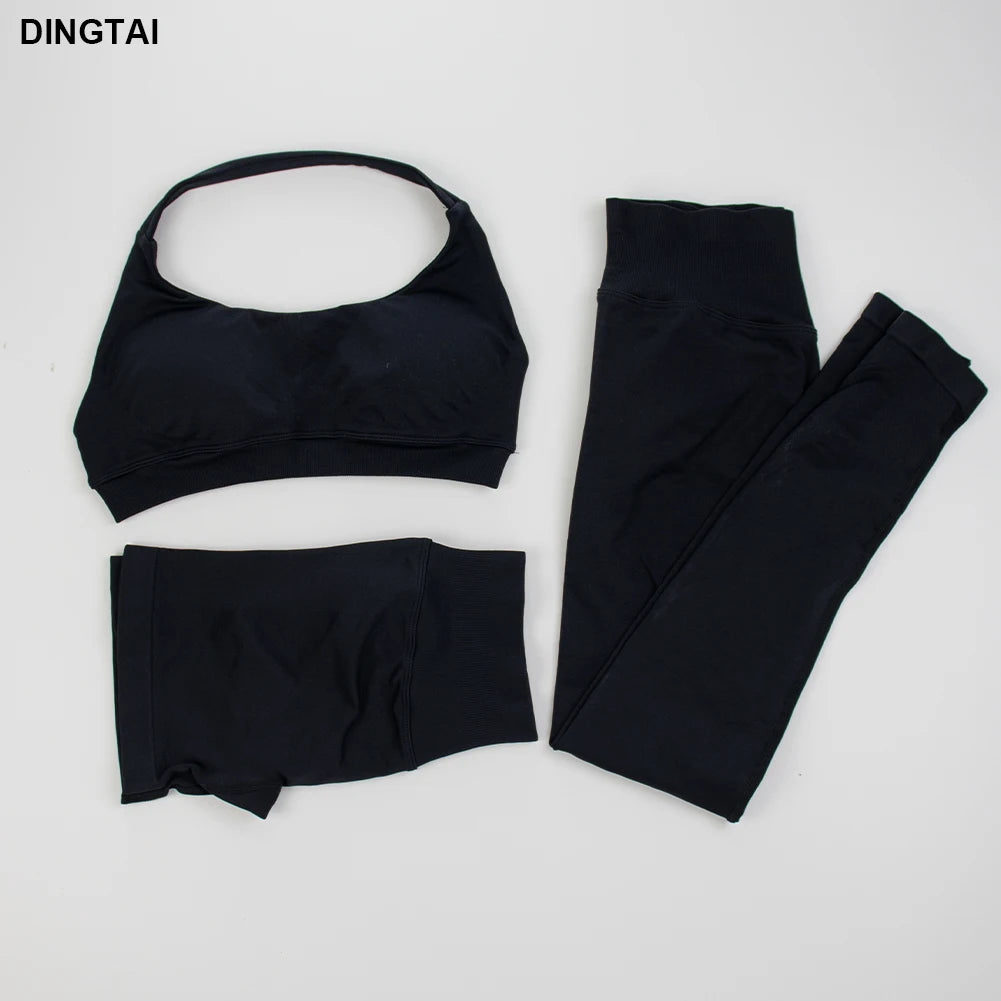 Seamless Ribbed Nylon-Spandex Women's Gym Set 2-Piece Sports Bra and Leggings